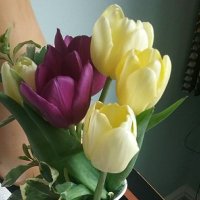 RosPow1 (@pow1ros) 's Twitter Profile