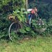 steve (@wilsons_cycles) Twitter profile photo steve (@wilsons_cycles) Twitter profile photo
