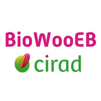 Biomass, Wood, Energy, Bioproducts - Cirad