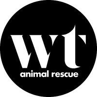 WolfTrapAnimalRescue (@wtarescue) 's Twitter Profile