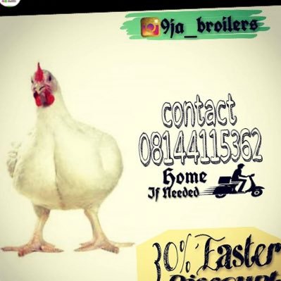 For your live broilers contact 08144115362 we deliver within Lagos ASAP kindly patronize us