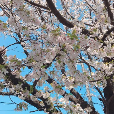 cqzvTATMLTGW7ax's profile picture. happyな日々をがモットーに☺︎