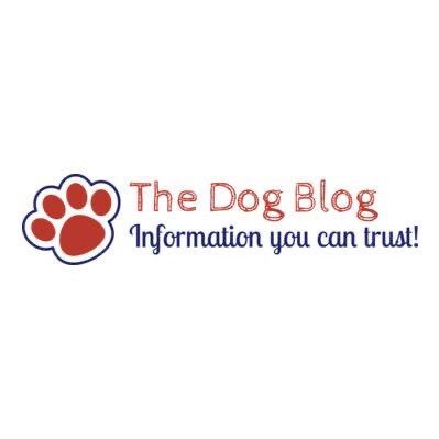 Dog lover and dog trainer. Blogging all things dog! instagram: thegladysgang to follow my bulldogs’ escapades!