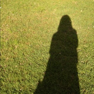 forestwind22's profile picture. 숲, 나무, 구름, 바람, 살아있다는 것. 지금, 여기.