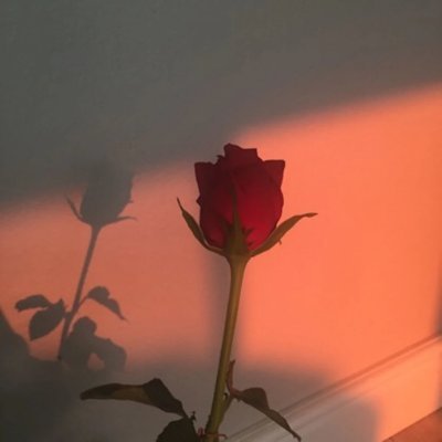 🧡
Ikhtiar, Banyak berdoa