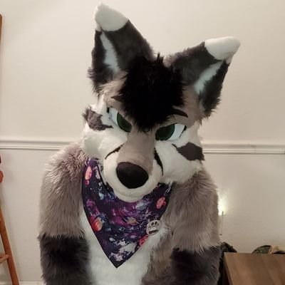 RubinTheFox's profile picture. 28, He/Him. IT Major, Taken. Telegram is my Twitter @