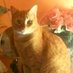 Julia B. (@bjulias422) Twitter profile photo Julia B. (@bjulias422) Twitter profile photo