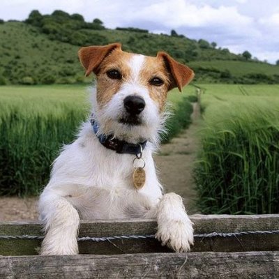 NB19751's profile picture. #History #ReformUK #Vegan #Nottinghamshire #BackBoris #CANZUK #BanHalal #loveBritainorleave #stoptheboats