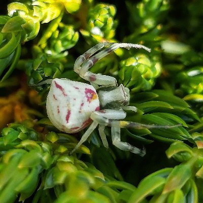 Dario02Dario02's profile picture. What's up? :D