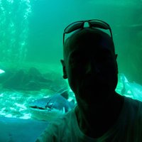 John Uttley (@johnuttley_) 's Twitter Profile