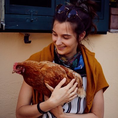 mrickn's profile picture. Digital passion engineer @durchstart Arbeitsintegration | Photographer | outdoorlover, storyteller, nature, silence, meditation & connection