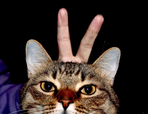 Rockeysockey's profile picture. Photographer / GIS Programmer Analyst / All Around Good Guy