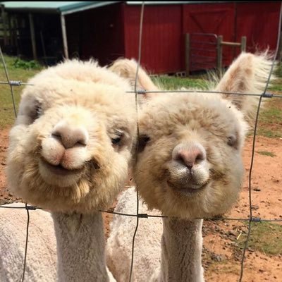 naetschh's profile picture. 17 I switzerland // insta: @naetschh