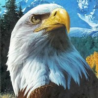 🇨🇺Patriot@Gbunch🇺🇸 (@gbunchforusa) Twitter profile photo
