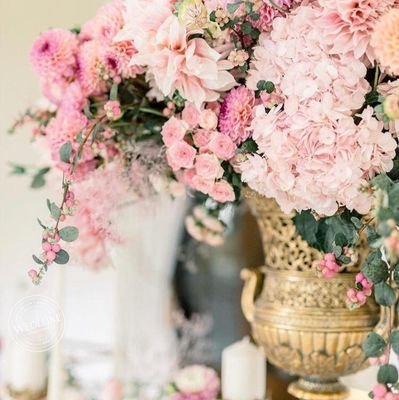 SamBobb56192414's profile picture. swimming and dancing