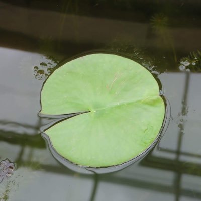 AlerteCsa's profile picture. Veille technologique