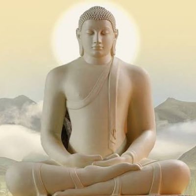 modifyingdelhi's profile picture. 