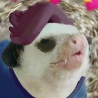 Koreley(@Beat_The_Possum) 's Twitter Profile Photo