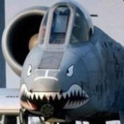 ChenDuoCJ's profile picture. Plays GFL and using twi mainly for that lol