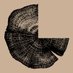 Gathering Growth (@gatheringgrowth) Twitter profile photo Gathering Growth (@gatheringgrowth) Twitter profile photo
