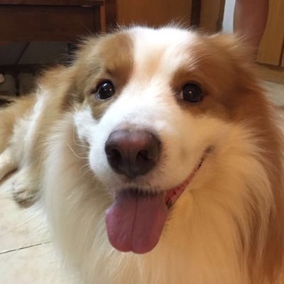 Siri24634365's profile picture. 20代の男