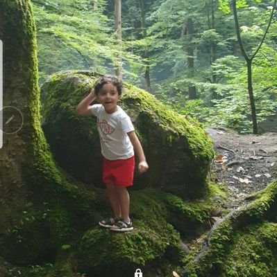 Aliali_aliraqi's profile picture. 