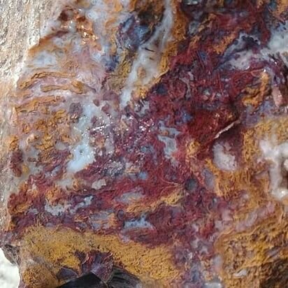 FossilNature's profile picture. اهل طبیعت گشت و گذار در مناطق باستانی و مکانهای دارای سنگهای قیمتی و نیمه قیمتی و فسیل های مختلف و گیاهان و حیوانات