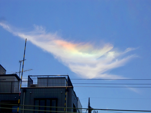 HarukaOhtani's profile picture. 好きな食べ物はマンゴスチン。お酒は紹興酒以外全般OK。泡盛、焼酎はプライオリティ低。