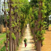 VisitPakistan (@visitpakistanpk) 's Twitter Profile Photo VisitPakistan (@visitpakistanpk) 's Twitter Profile Photo
