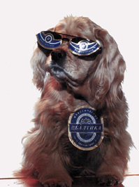 Dashikjan's profile picture. Можно говорить обо всем ,писать о многом и при этом ни о чем не думать. Я расчитываю, что рассуждения на алкогольную тематику будут интересны.