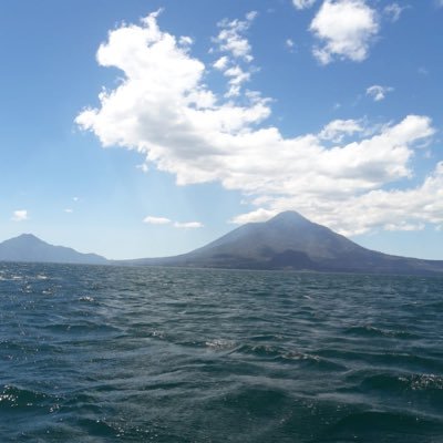 Breadpanic's profile picture. 