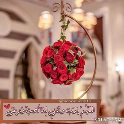 ألطف ممآ تظن, وأعمق ممآ ترى🎻