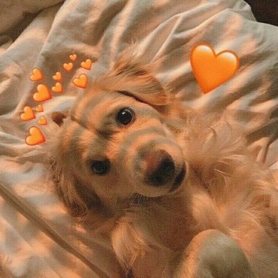 Nothingishksn's profile picture. 