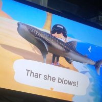Palmsweaty (@palmsweaty1) 's Twitter Profile