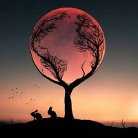 💞yusuf💝 (@yusuf84040973) 's Twitter Profile