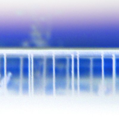 VFantozzi's profile picture. Lima