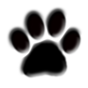 studiomeow's profile picture. I'm Tog the cat, and I live in a lovely warm photography studio. Straight-talking & honest. Intolerant of fools, on-camera flash & AMWACs. Google it.