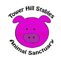Tower Hill Stables (@towerhillstable) 's Twitter Profile