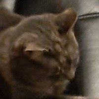 NarwhalLiveV2 (@narwhallivev2) 's Twitter Profile