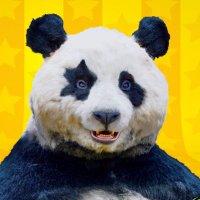 星星 -seisei- 🐼(@seisei_panda) 's Twitter Profile Photo