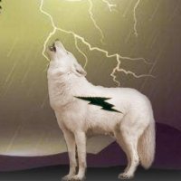 Lightning Wolfdog52(@Lightningwolfk9) 's Twitter Profile Photo