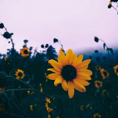 realvibes19's profile picture. 