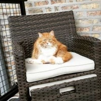 JamiHougen's profile picture. tweeter