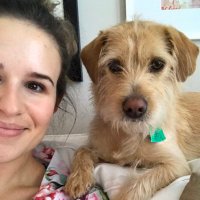 Dana Coccola (@danacoccolamd) 's Twitter Profile