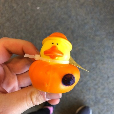 shmooelbot's profile picture. yeet