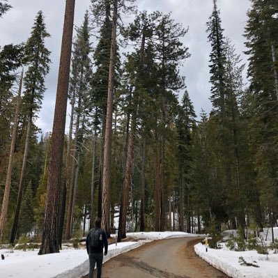 harrysx's profile picture. 