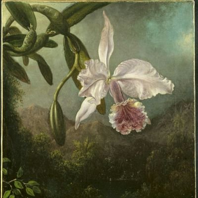 ufowsf's profile picture. 