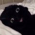 DeetleBik (@anxiousimagin) Twitter profile photo DeetleBik (@anxiousimagin) Twitter profile photo