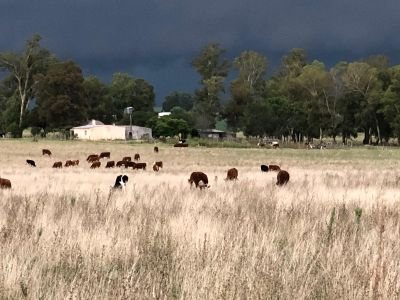 AlfredoBentanc3's profile picture. 