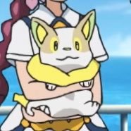 こいぬポケモン